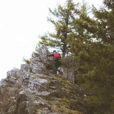 Hike Devil's Peak Lookout