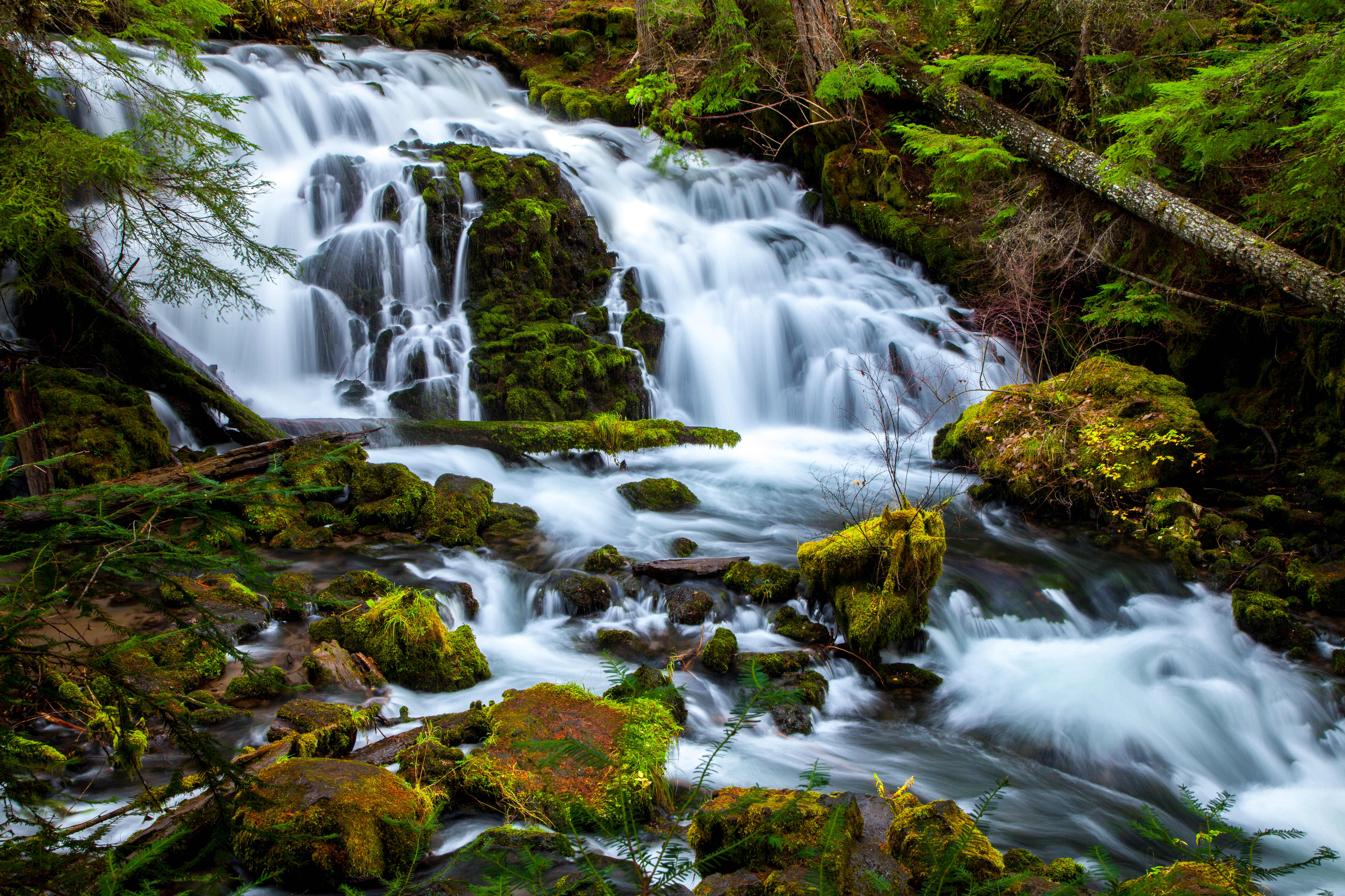 Pearsony Falls