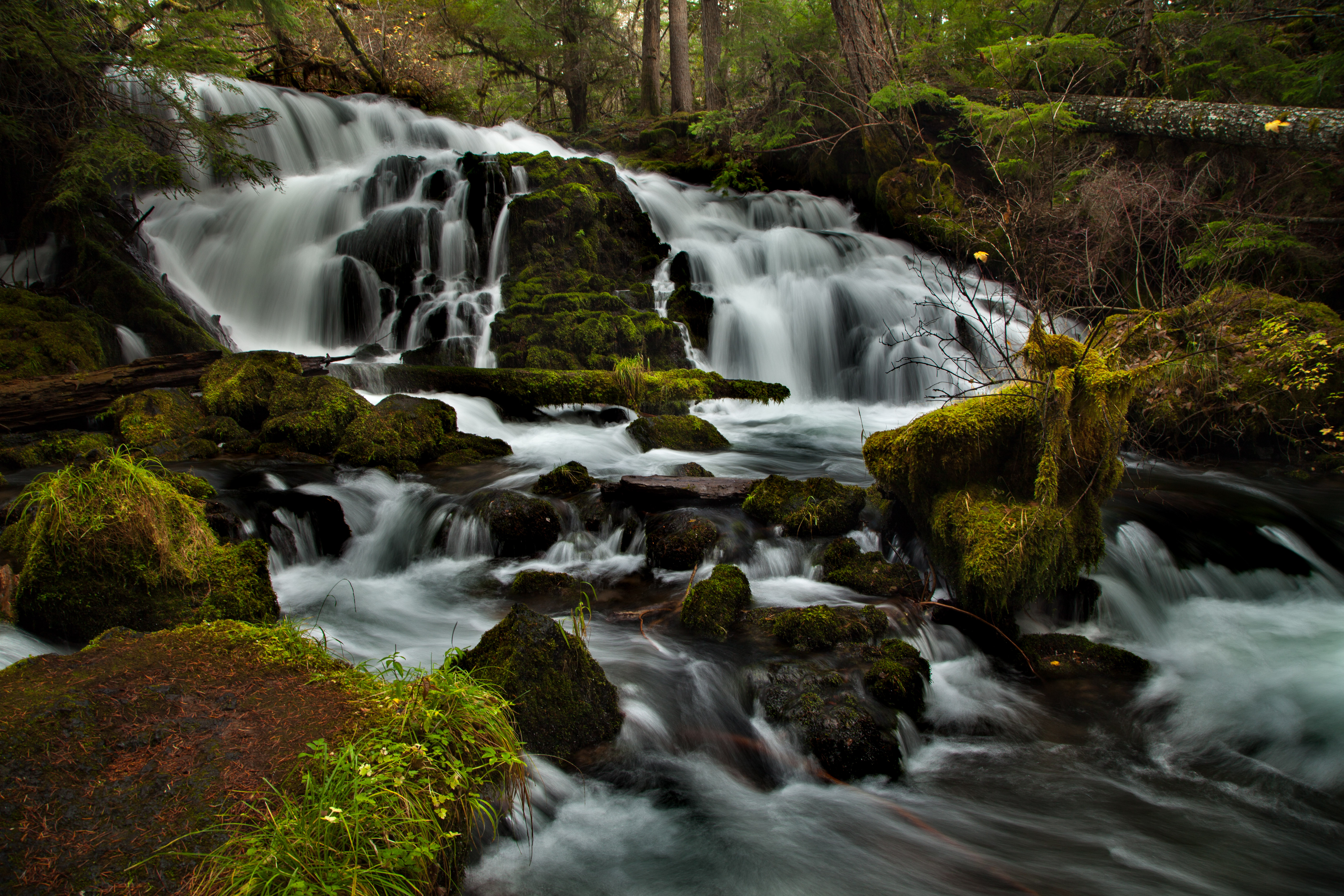 Pearsony Falls
