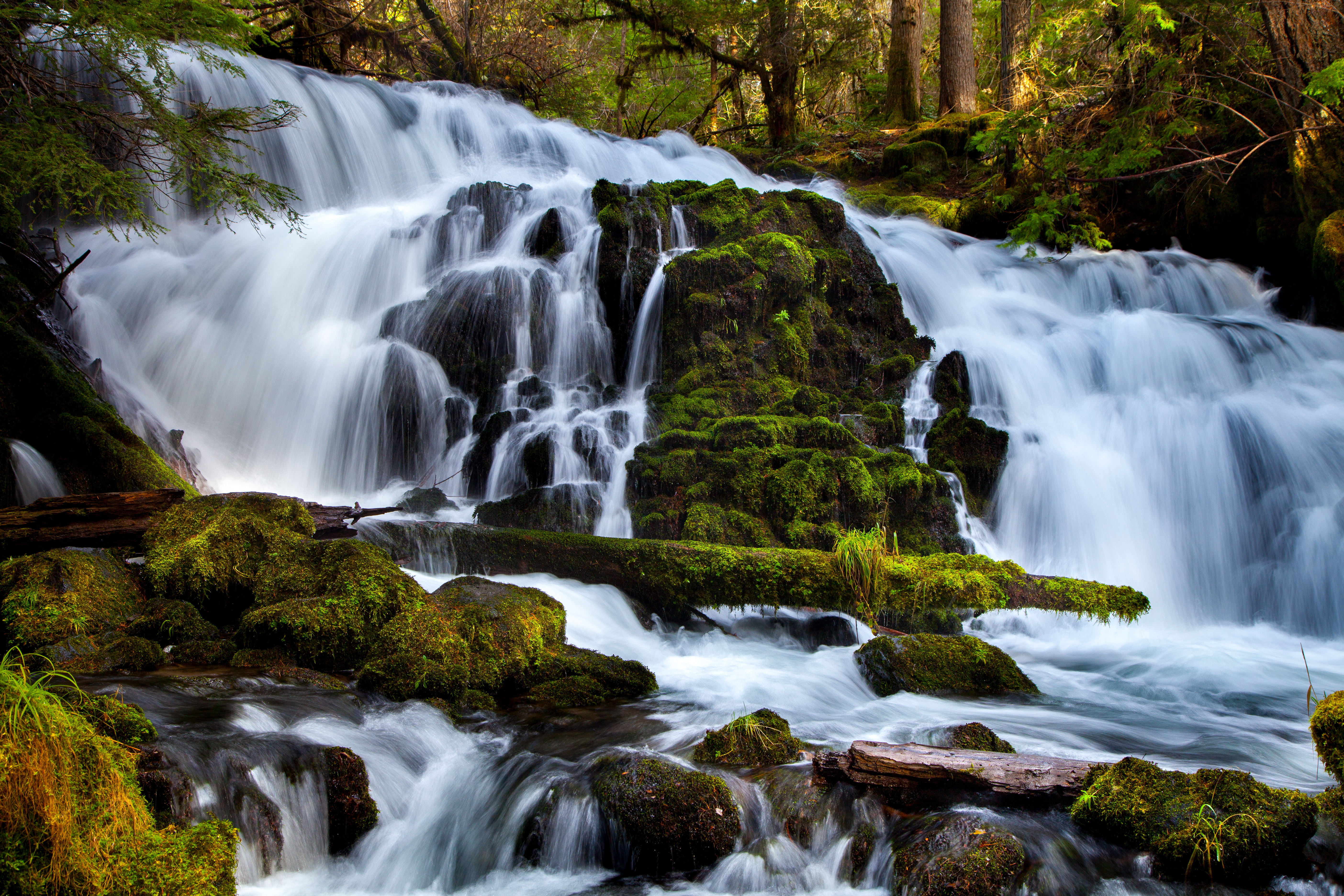 Pearsony Falls