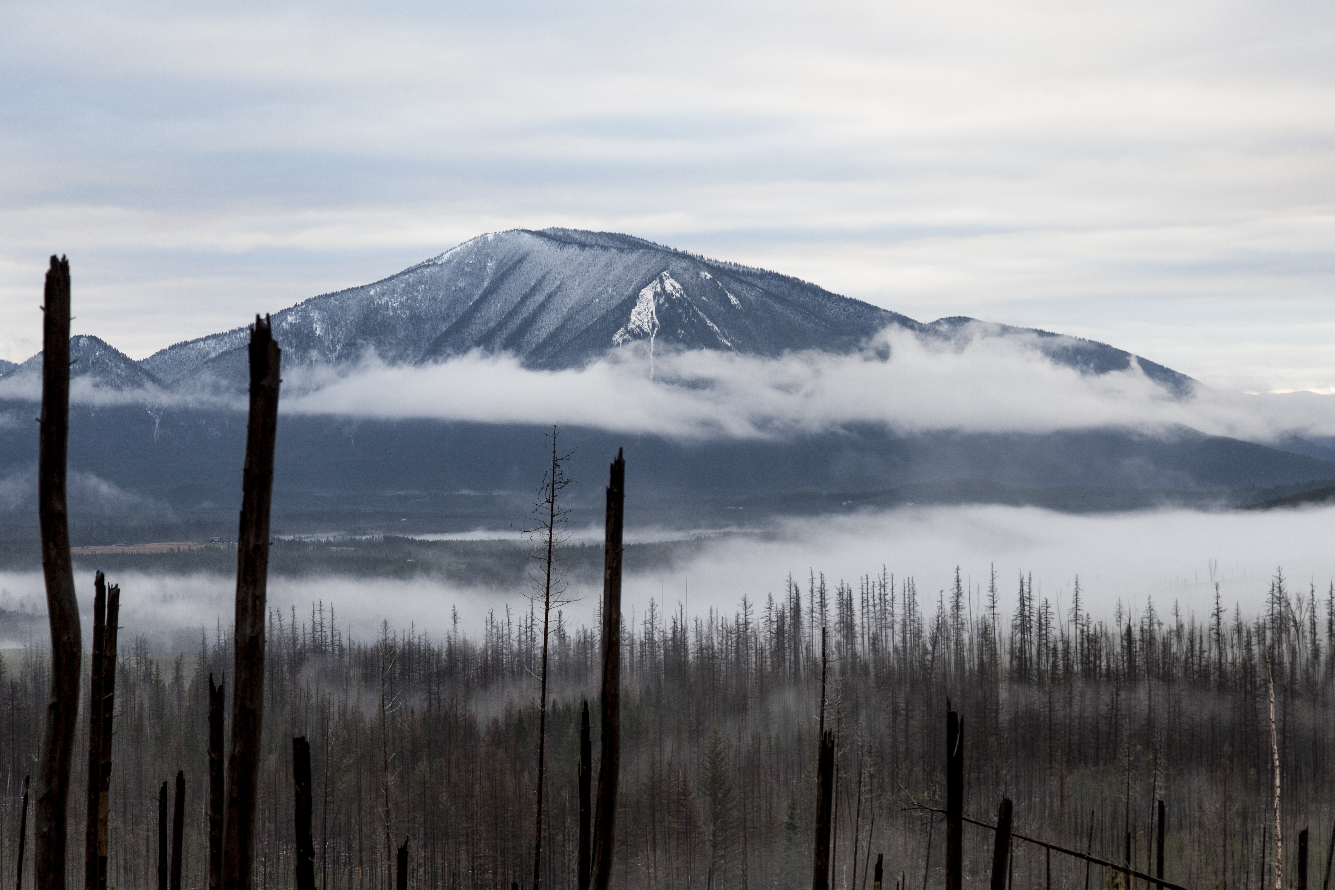 Apgar Lookout
