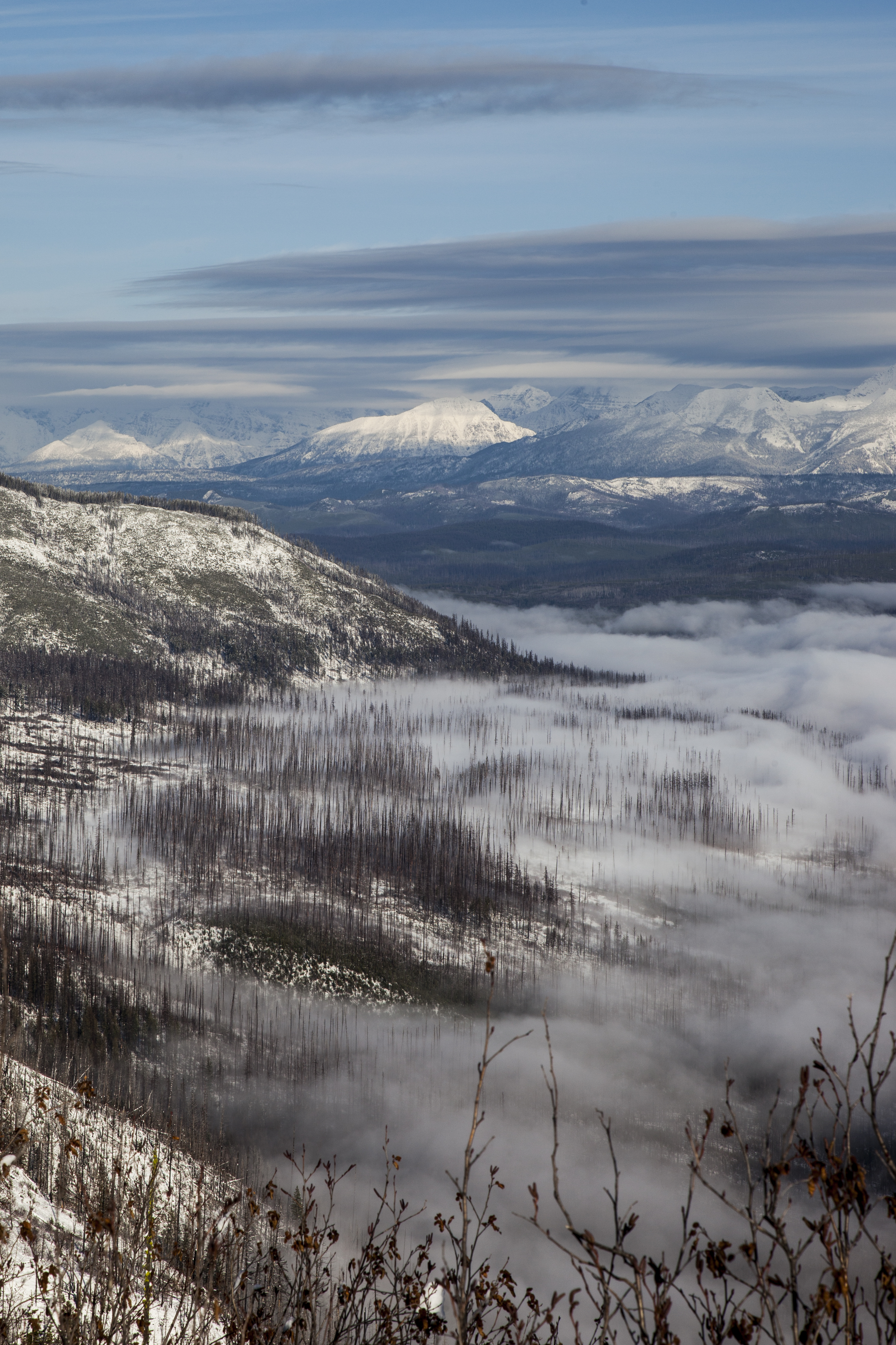 Apgar Lookout
