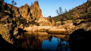 Hike to Bear Gulch Reservoir in Pinnacles National Park