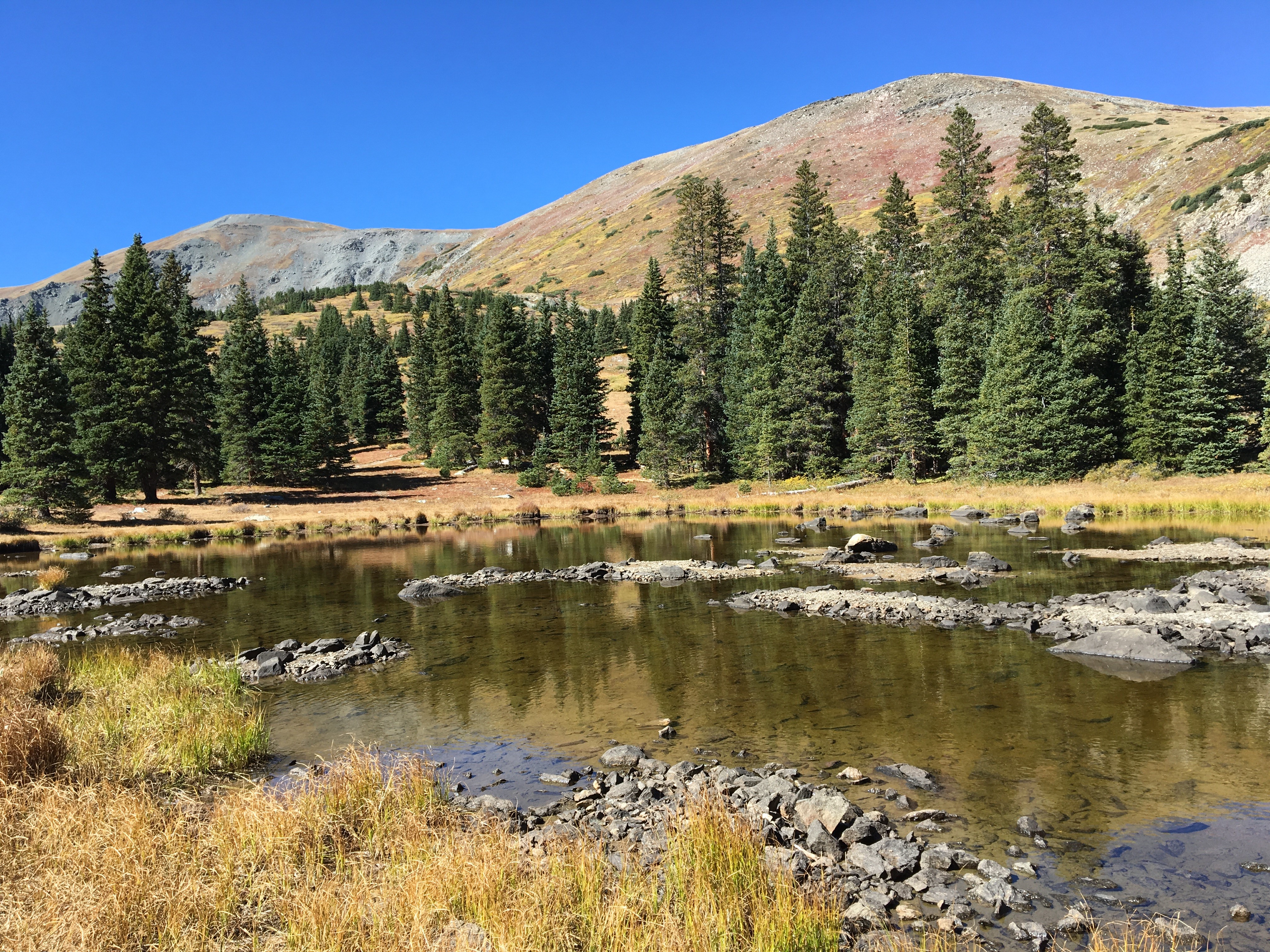 Ptarmigan Lake near Buena Vista