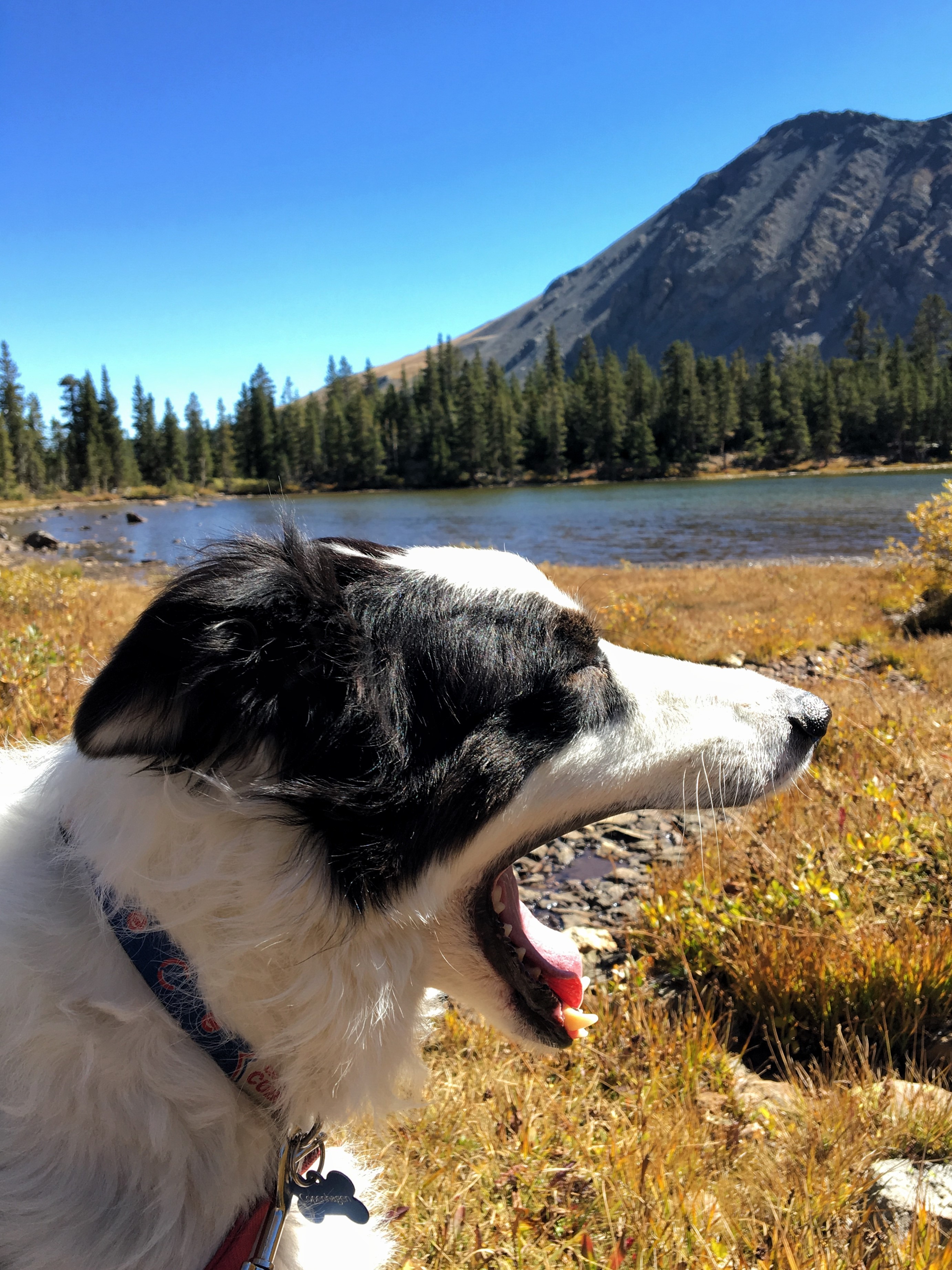 Ptarmigan Lake near Buena Vista