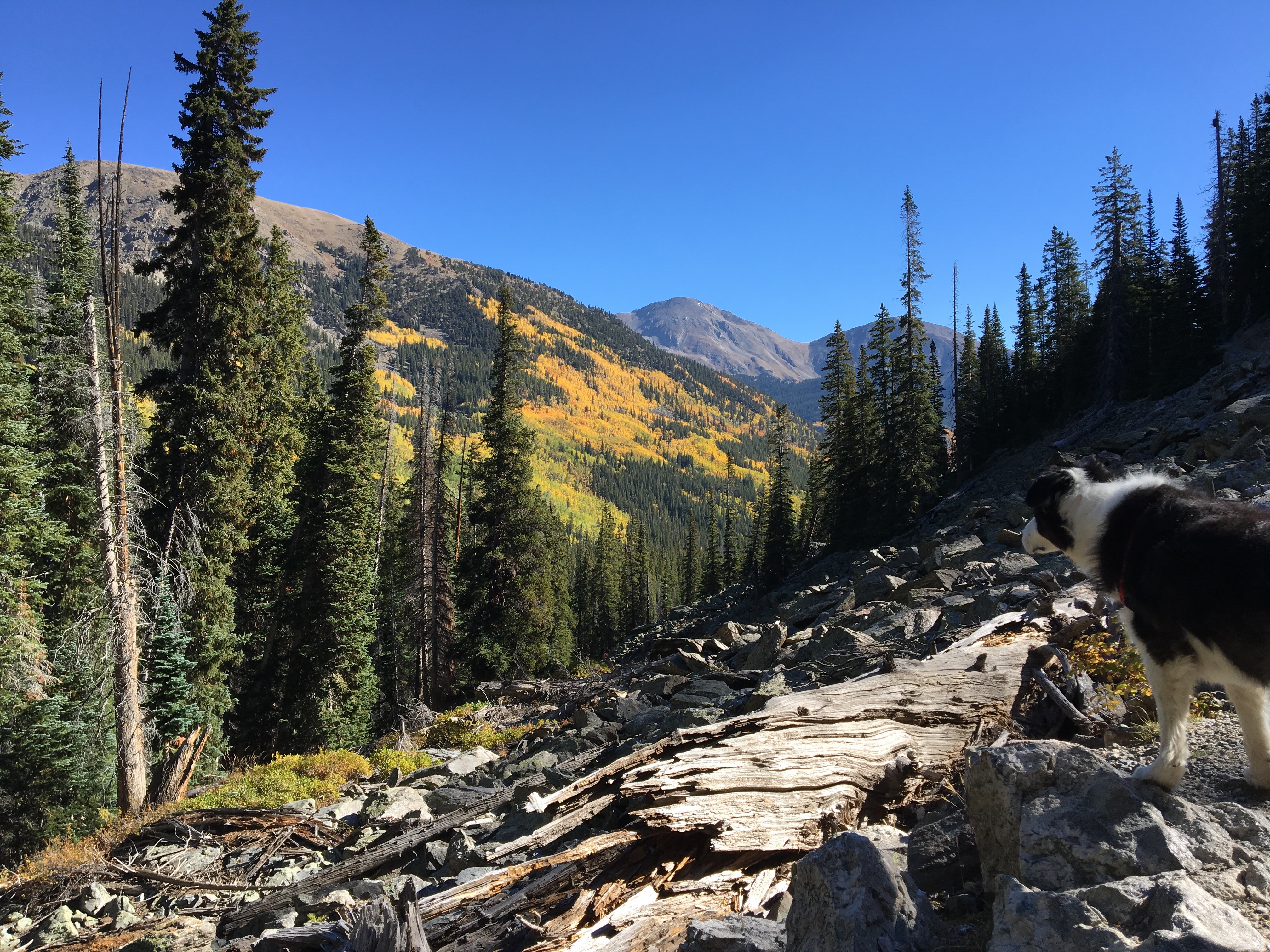 Ptarmigan Lake near Buena Vista
