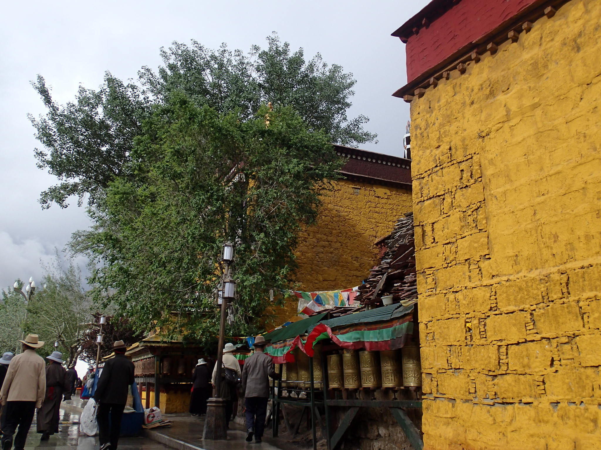 Walk the Potala Kora