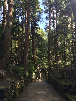 Choishi-Michi Pilgrimage Trail to Koya-san (町石道)
