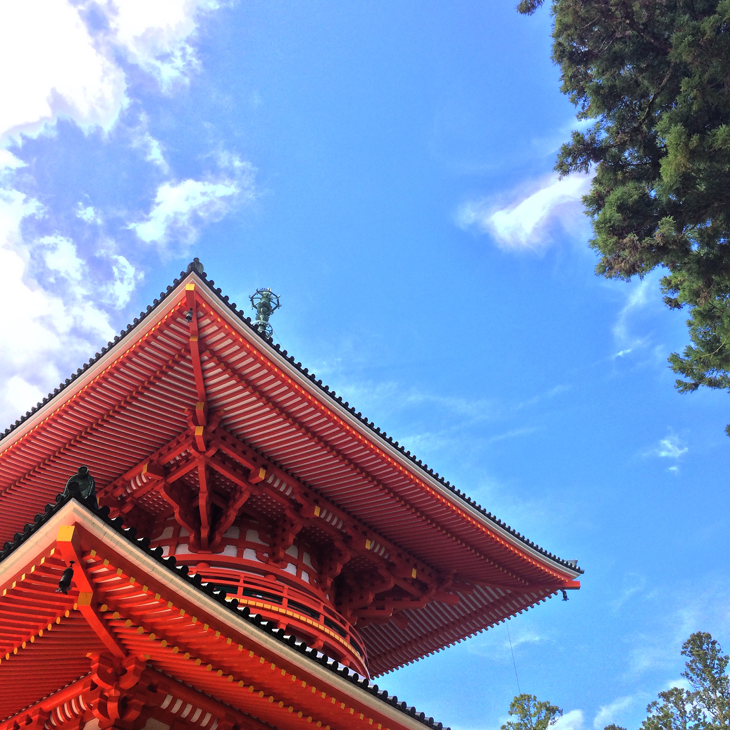 Choishi-Michi Pilgrimage Trail to Koya-san (町石道)