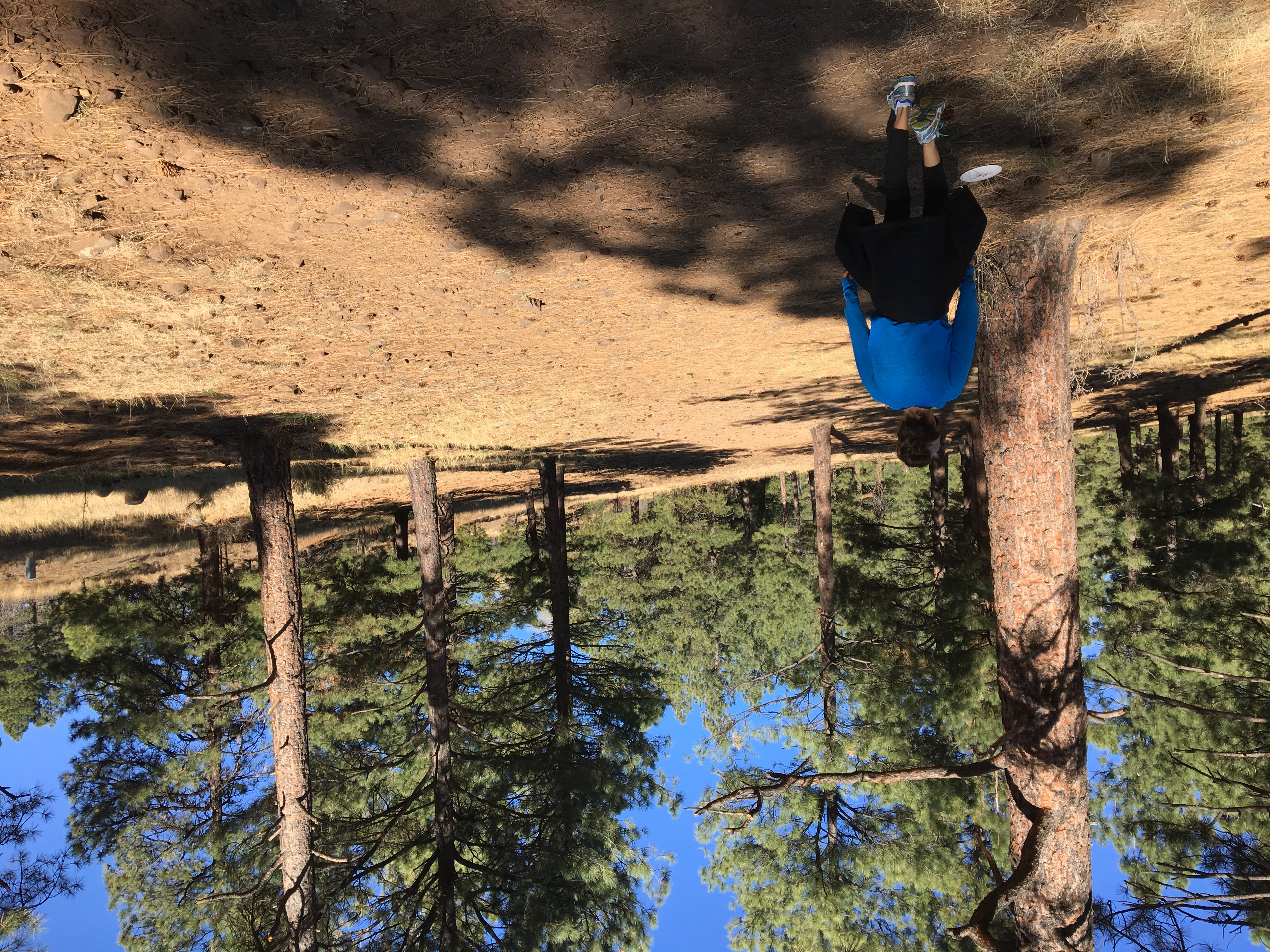 Frisbee Golf at McPherson's