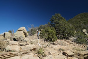 Hike to Picacho Peak and Atalaya Peak