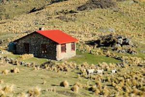 Hike to the Packhorse Hut and Mt. Bradley