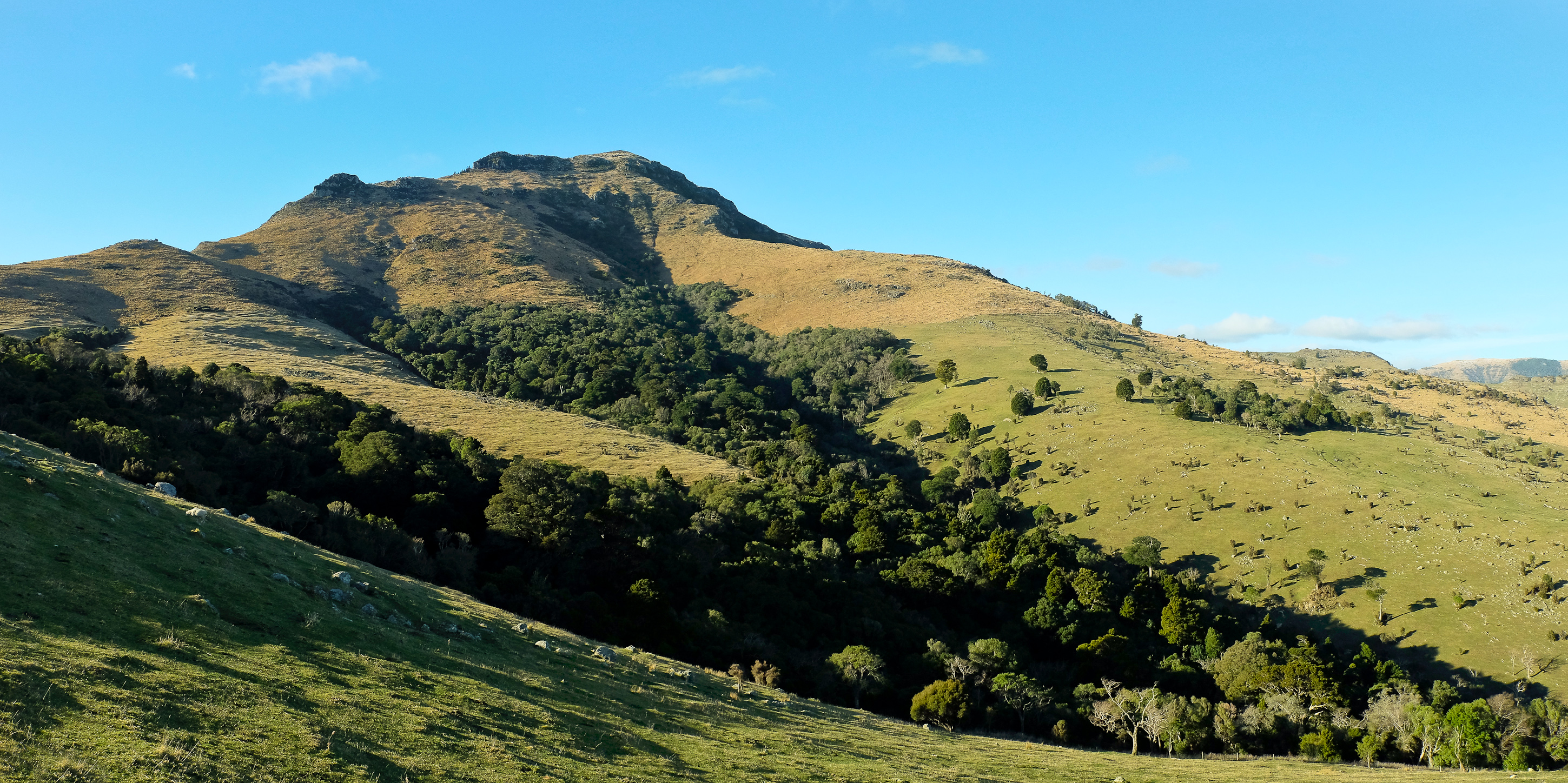 Hike to the Packhorse Hut and Mt. Bradley