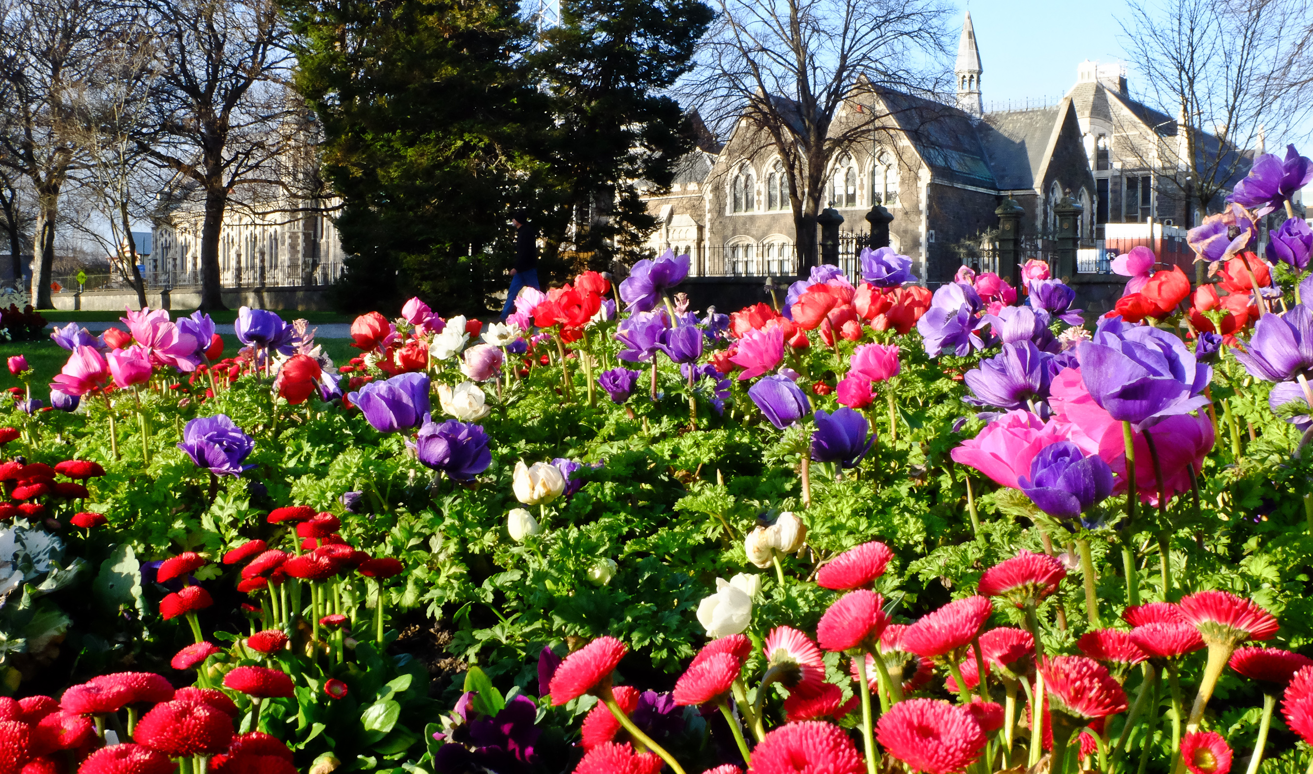 Walk in the Christchurch Botanic Gardens, Christchurch, New Zealand