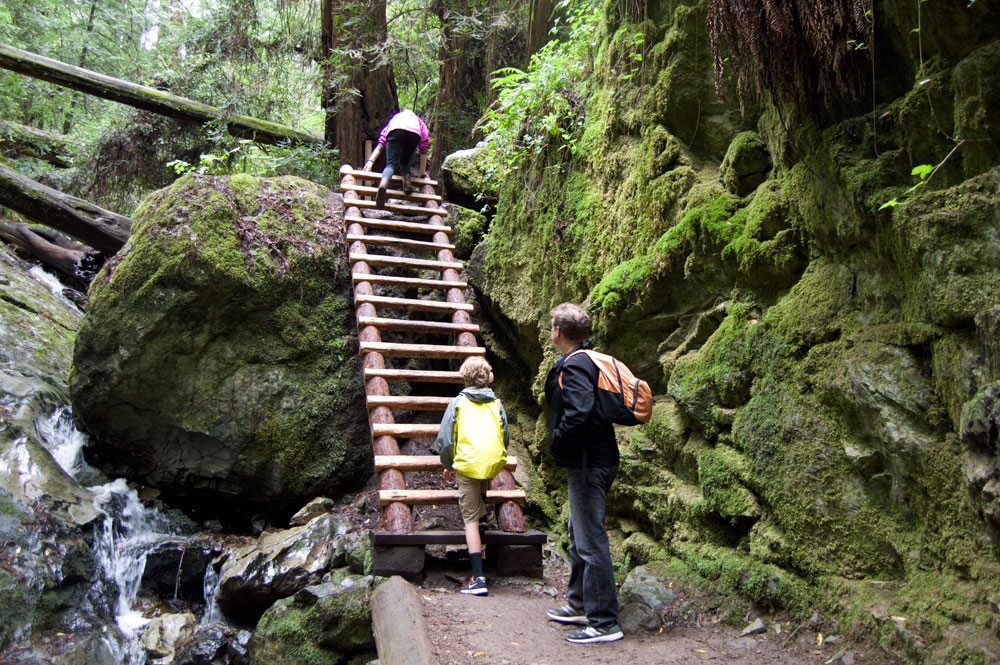 Steep Ravine Trail via Pantoll Station