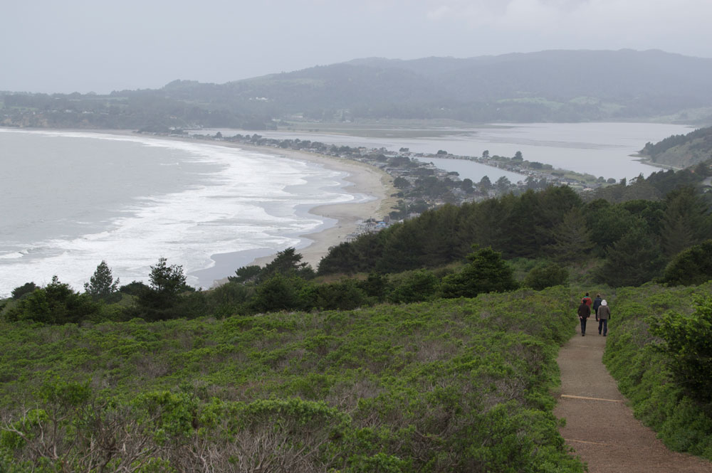 Steep Ravine Trail via Pantoll Station