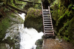 Steep Ravine Trail via Pantoll Station