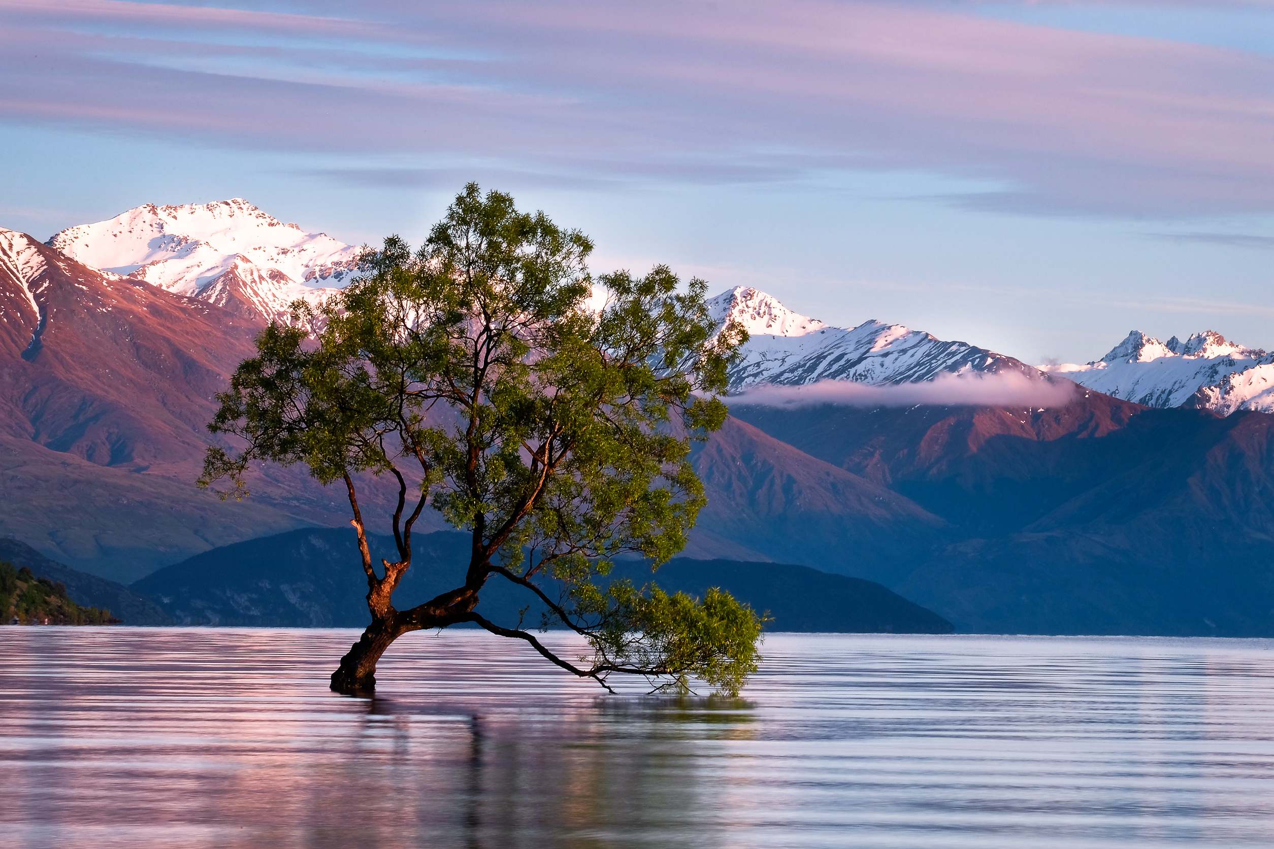 Hike Lake Wanaka And Photograph The Famous Tree, Millenium Track