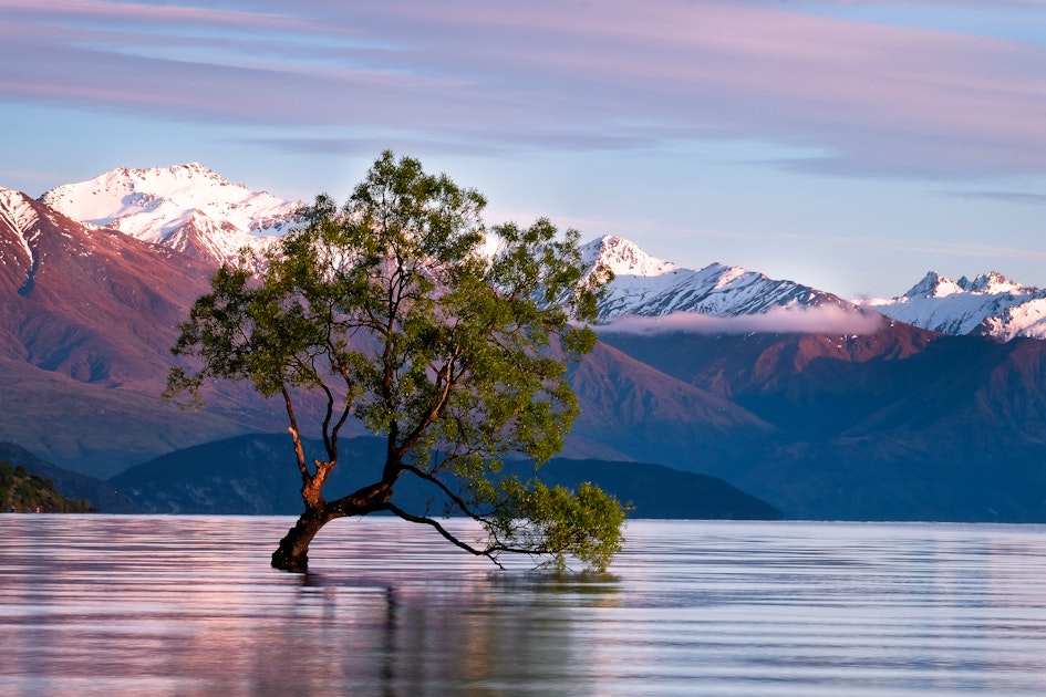 Hike Lake Wanaka and Photograph the Famous Tree, Millenium Track