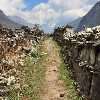 Backpack the Langtang Valley Trek