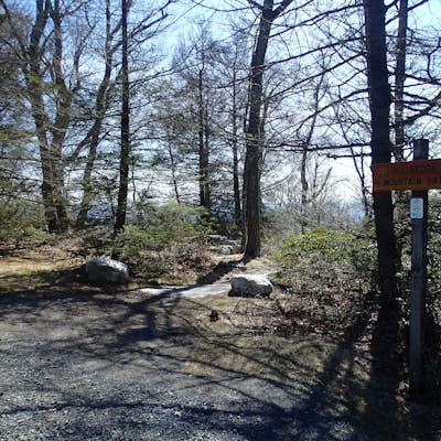 Hike the Millbrook Mountain/Gertrude Nose loop