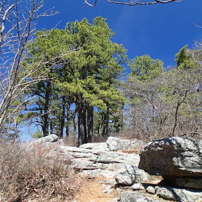 Hike the Millbrook Mountain/Gertrude Nose loop