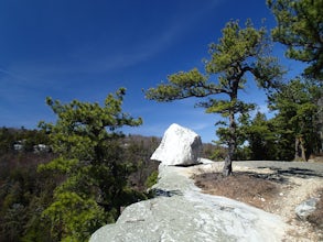 Hike the Millbrook Mountain/Gertrude Nose loop