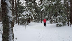 Snowshoe the Northern Loop Trail at Bradbury Mountain