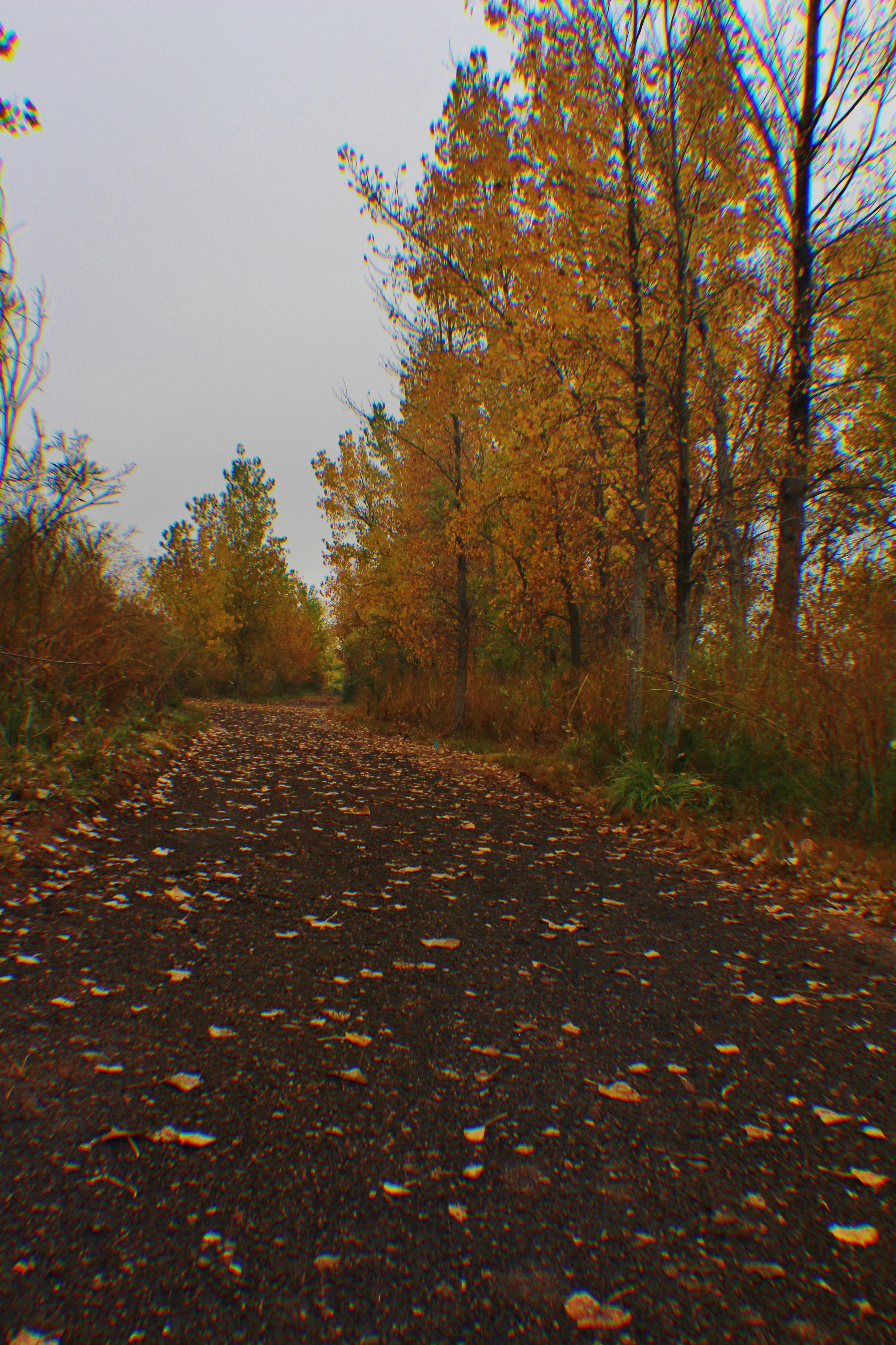 Photo of Fort Collins Prospect Ponds