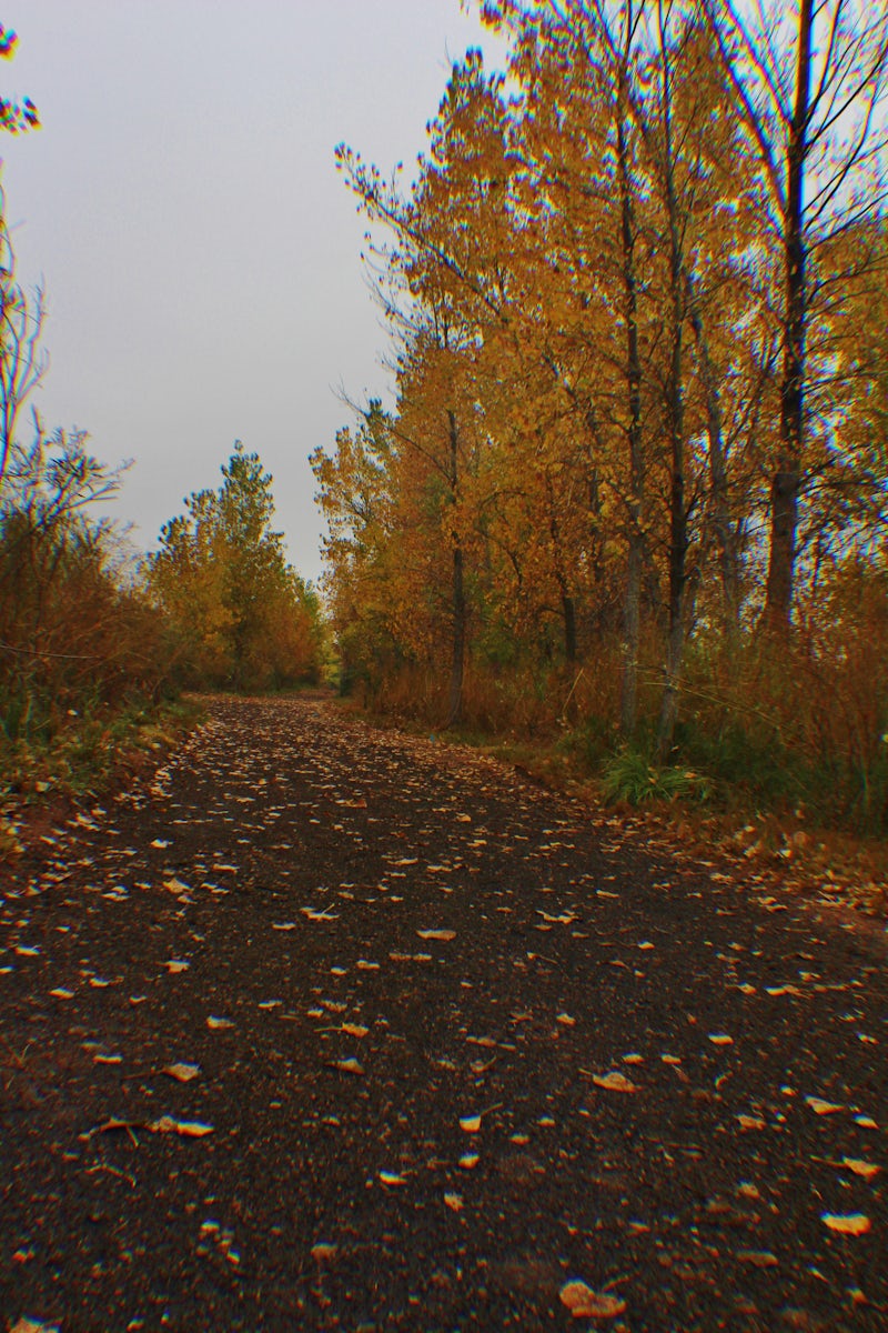 Photo of Fort Collins Prospect Ponds