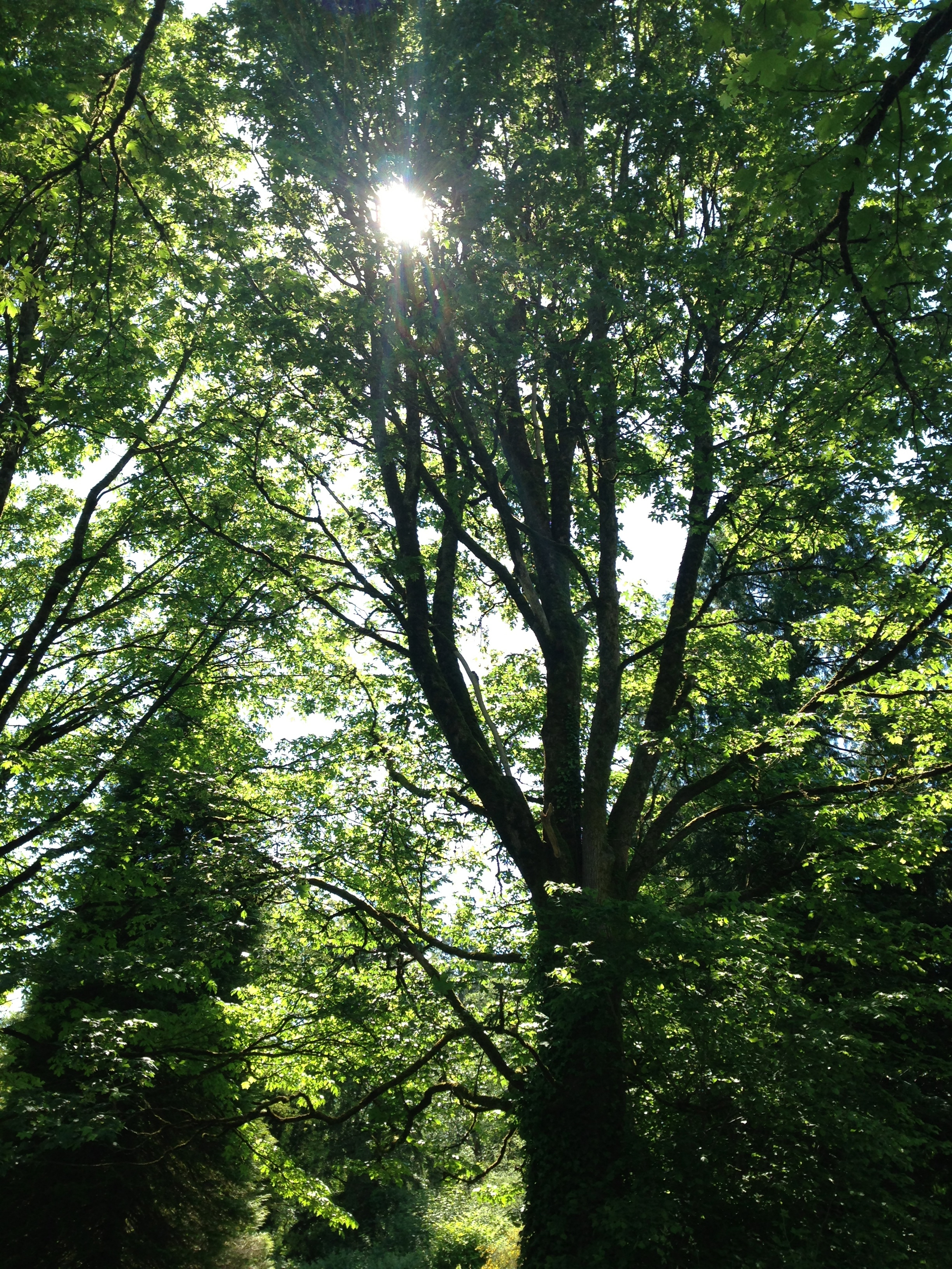 Hike the Elgin Heritage Park Nature Trail