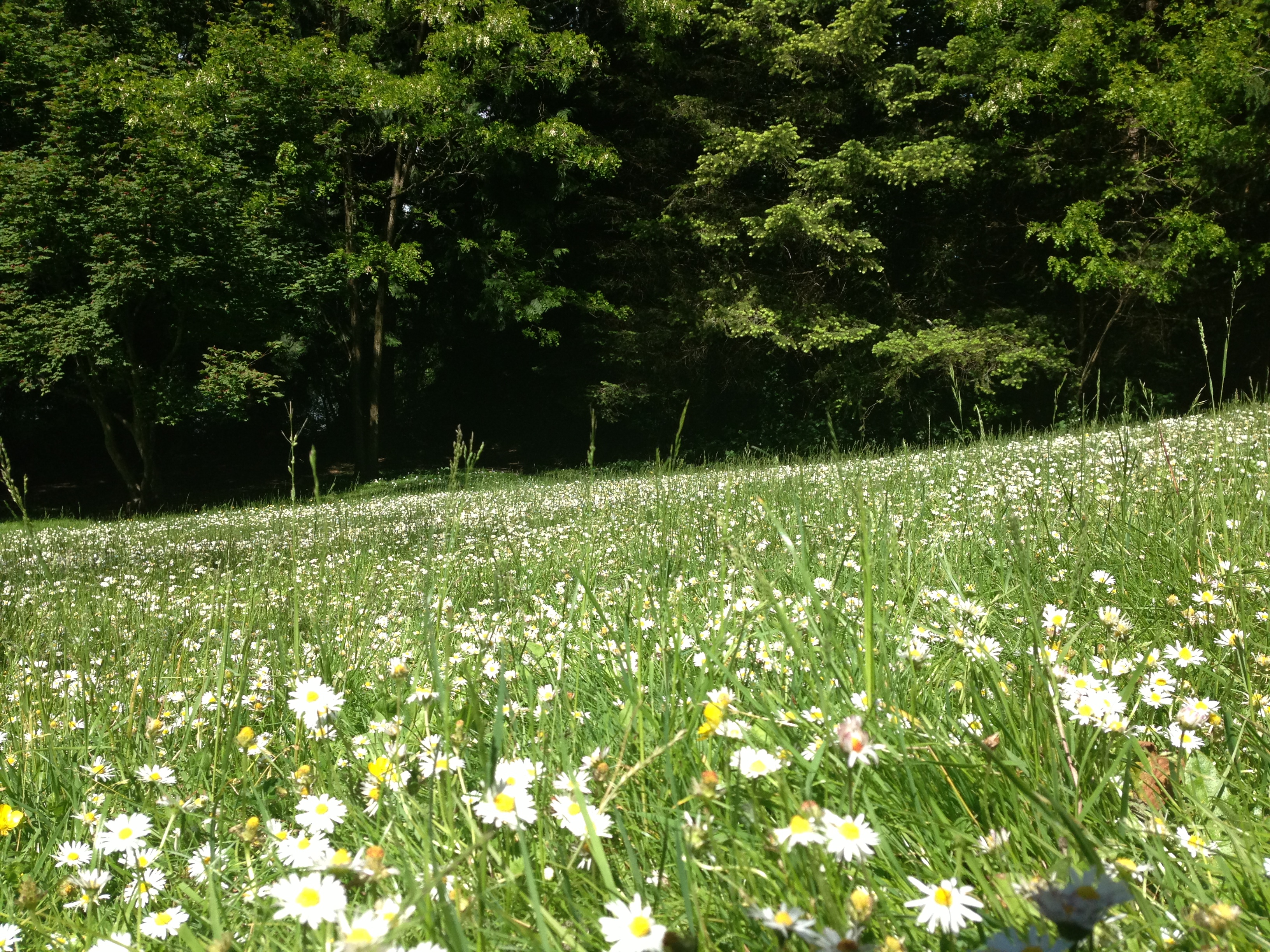 Hike the Elgin Heritage Park Nature Trail