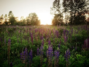 Hike the Elgin Heritage Park Nature Trail