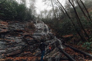 Hike to Horsetrough Falls 