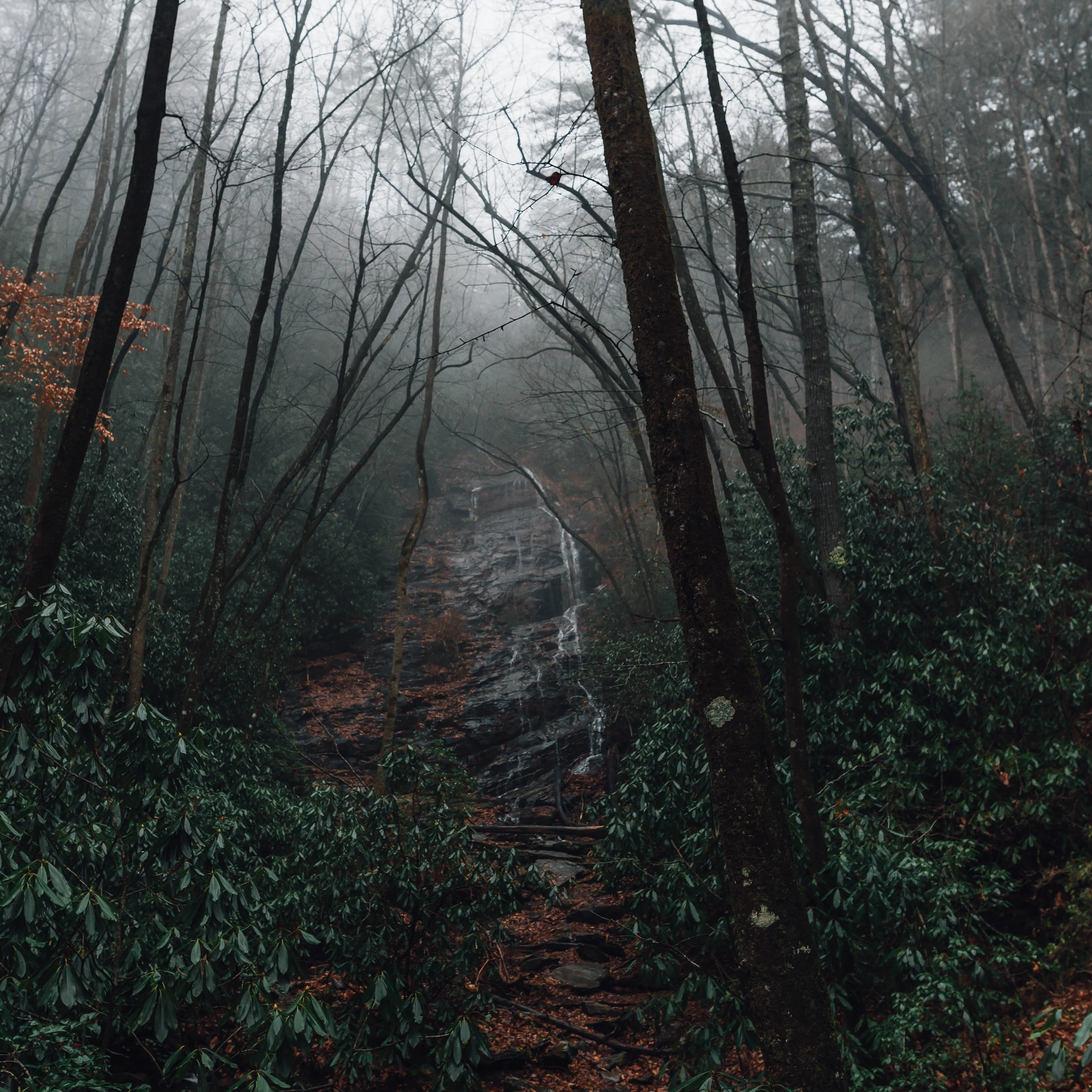 Hike to Horsetrough Falls 