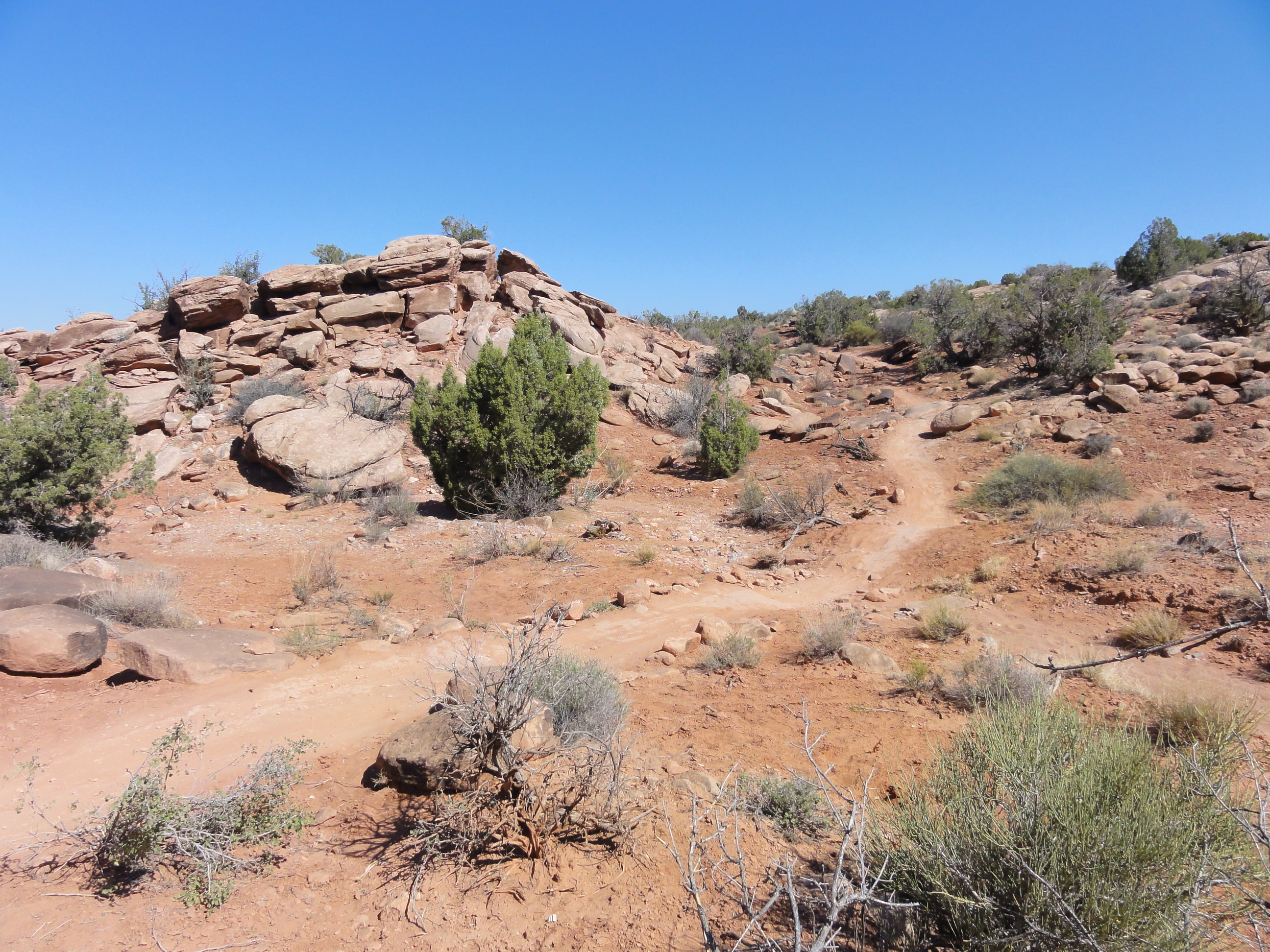 Mountain Bike the Moab Brand Trails