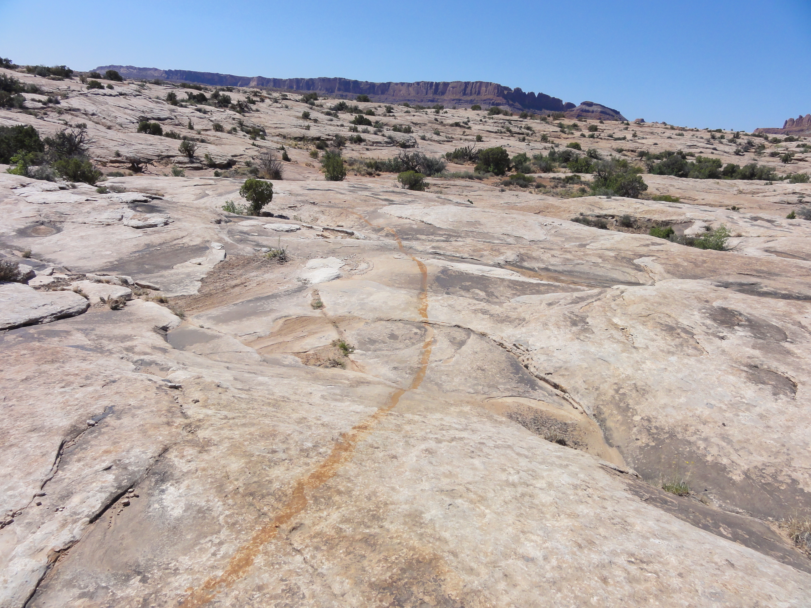 Mountain Bike the Moab Brand Trails