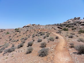 Mountain Bike the Moab Brand Trails
