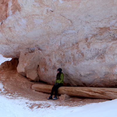 Winter Hike the Navajo-Queens Garden Loop