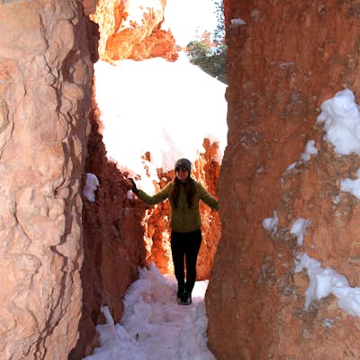 Winter Hike the Navajo-Queens Garden Loop