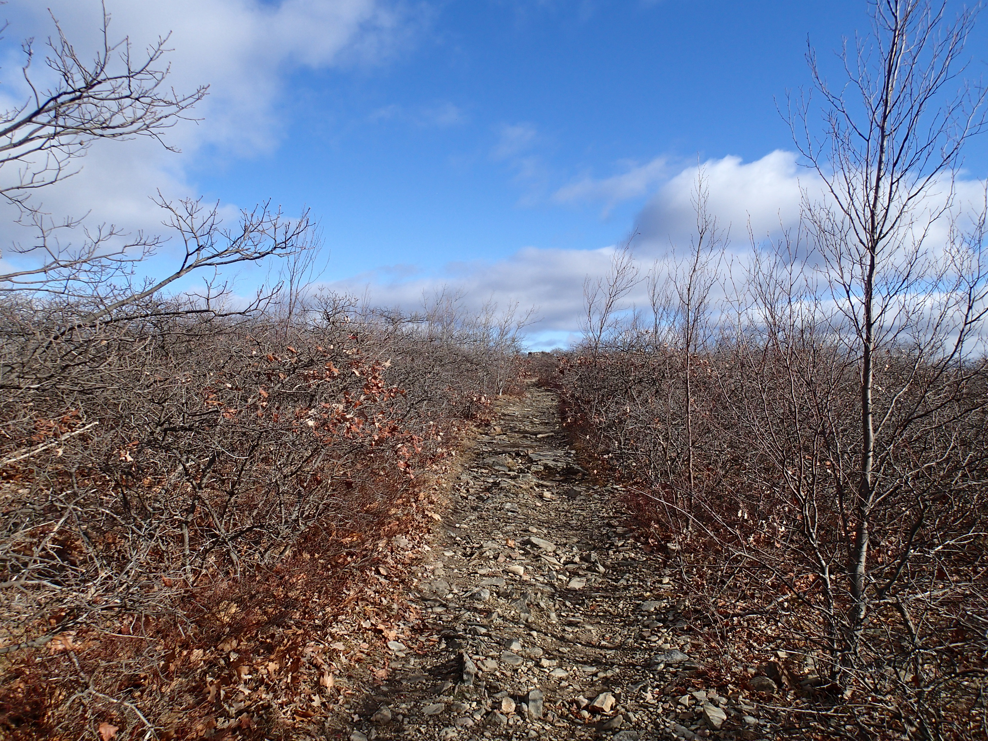 Hike the Jessup/Highlands/Long Path Trails