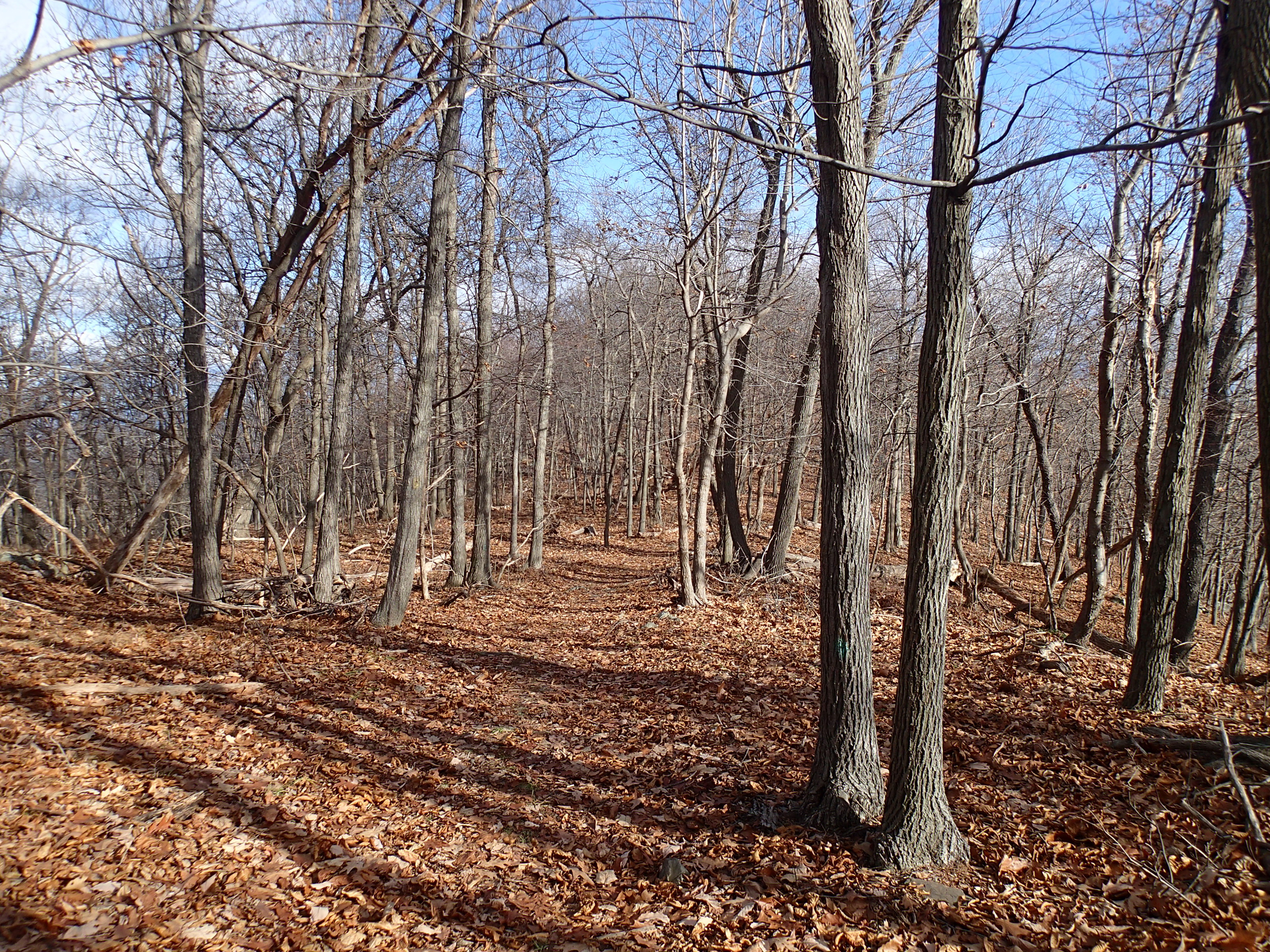 Hike the Jessup/Highlands/Long Path Trails