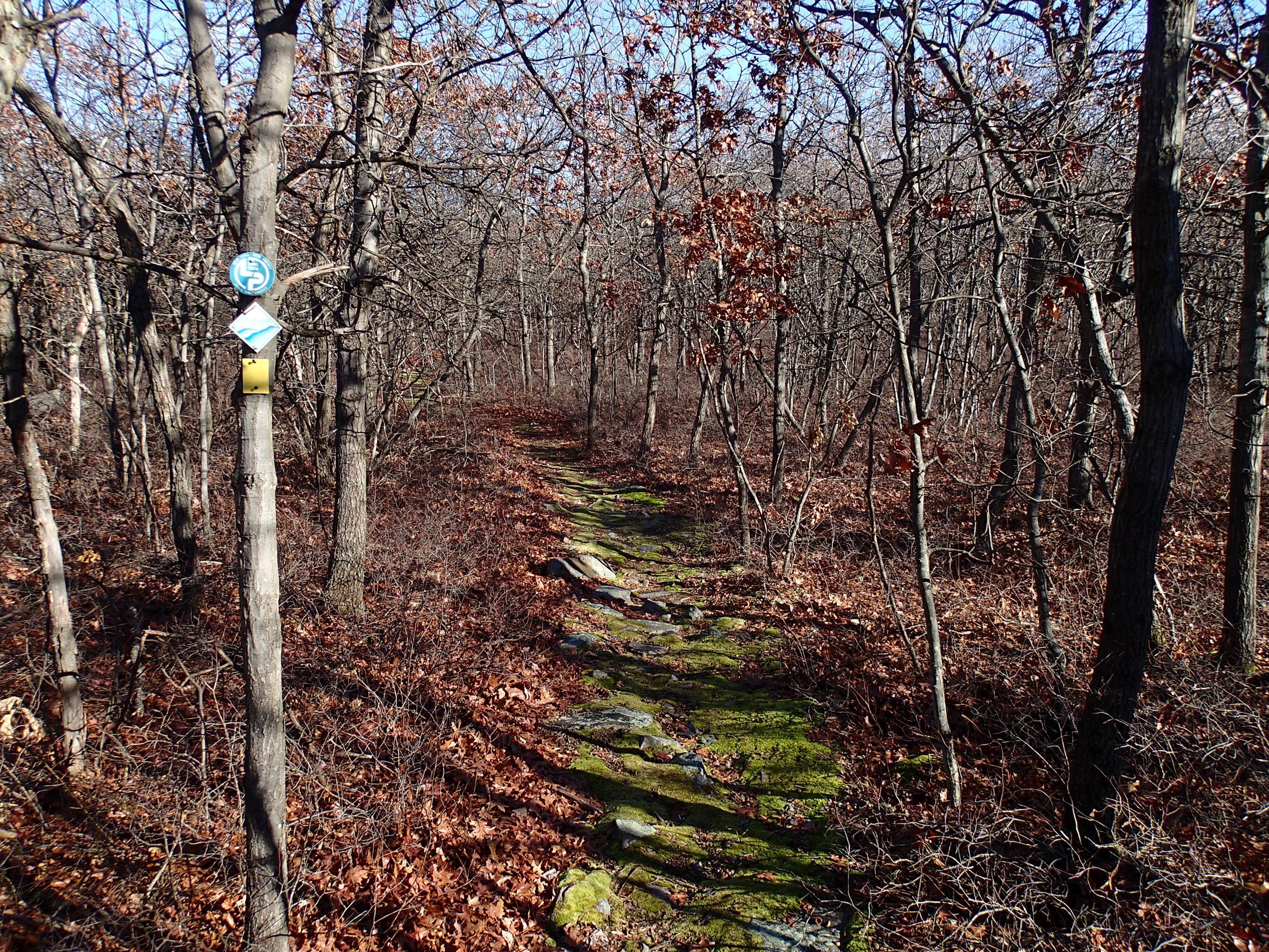 Hike the Jessup/Highlands/Long Path Trails