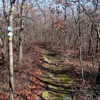 Hike the Jessup/Highlands/Long Path Trails