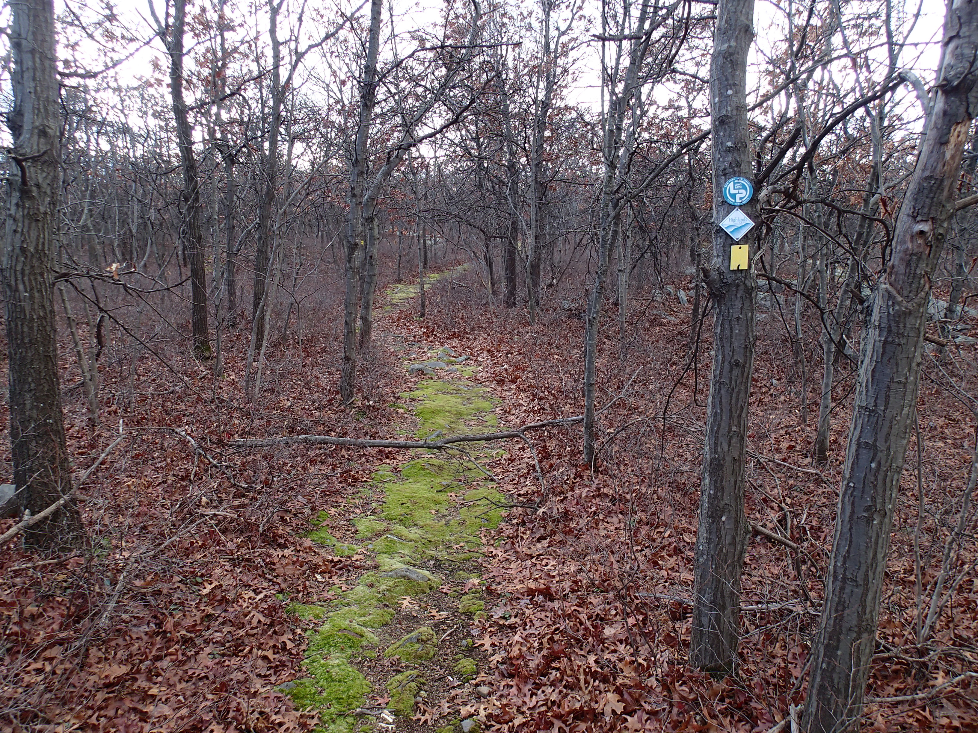 Hike the Jessup/Highlands/Long Path Trails