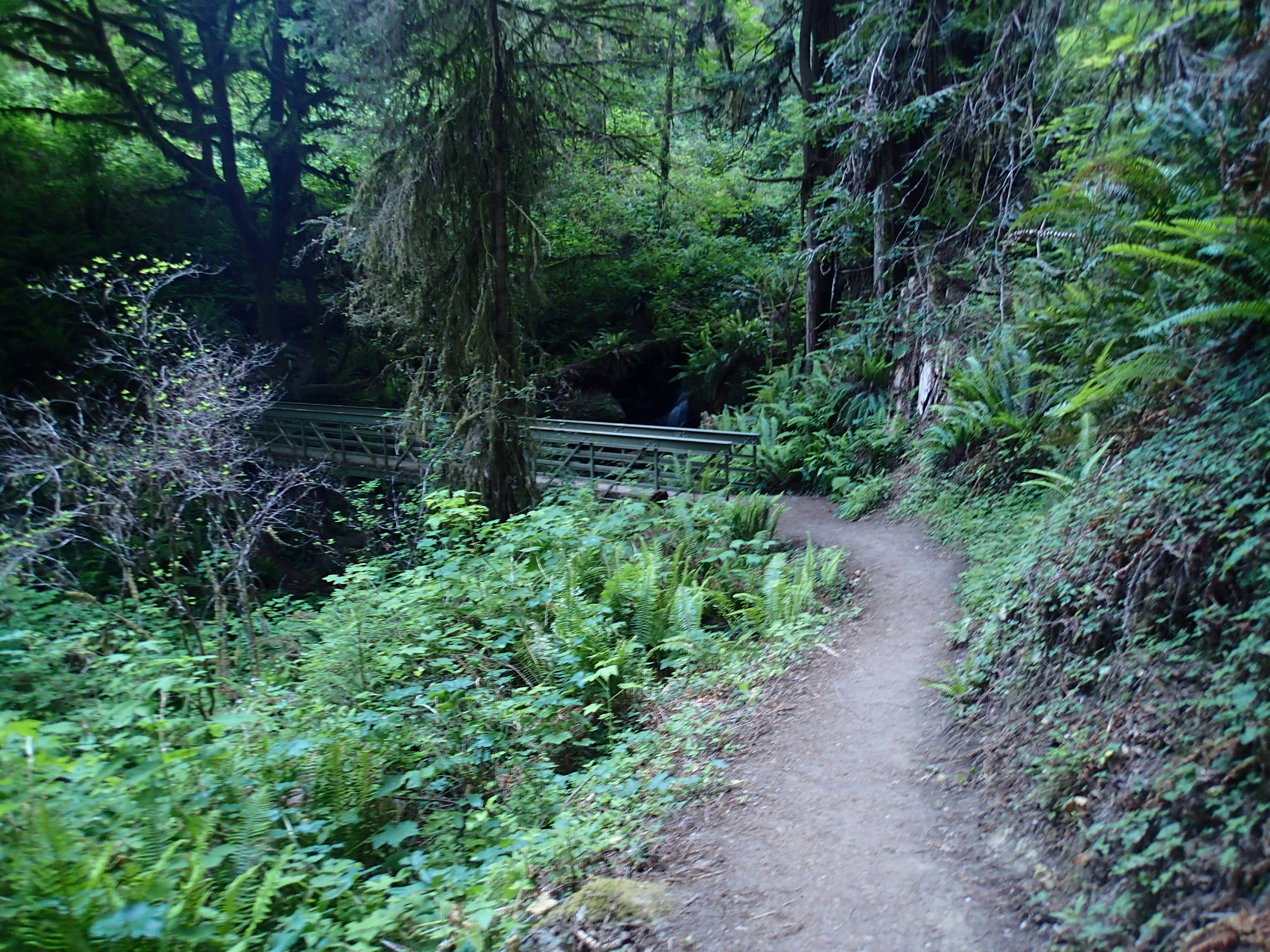 Trillium Falls