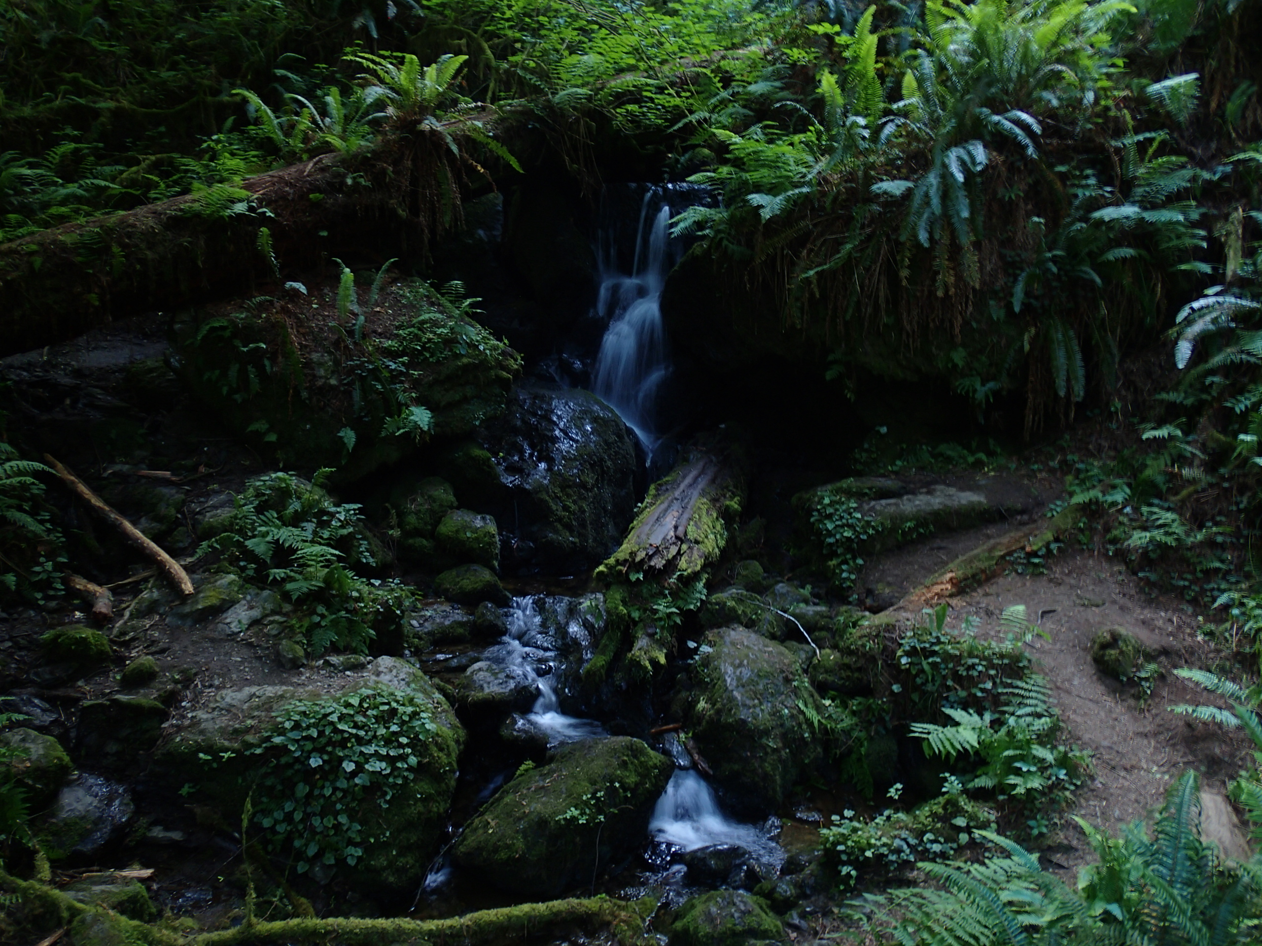 Trillium Falls