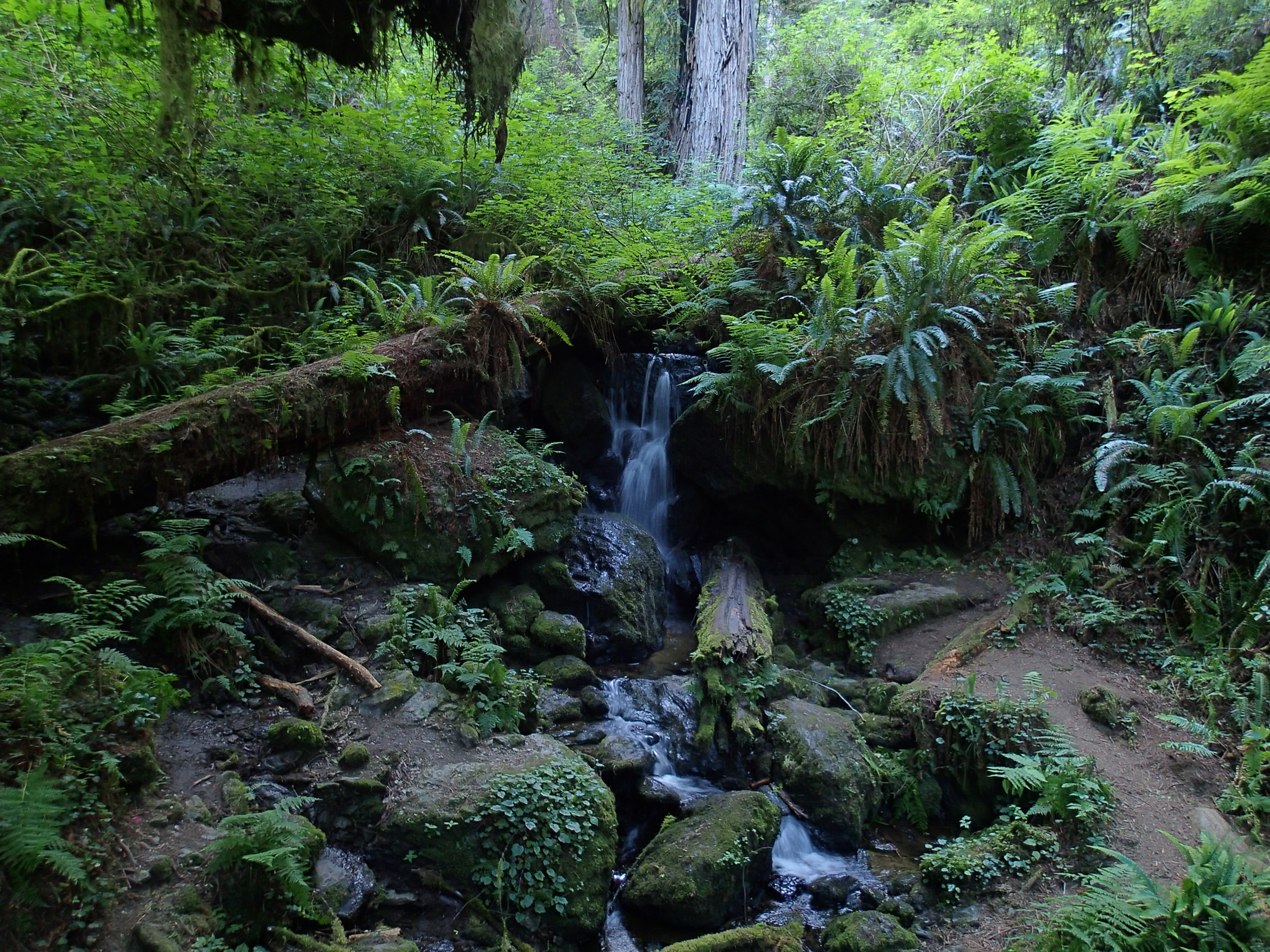 Trillium Falls