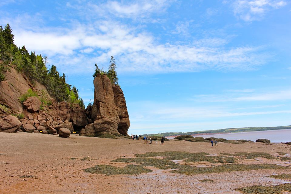 Hopewell Rocks