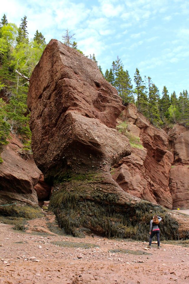 Hopewell Rocks
